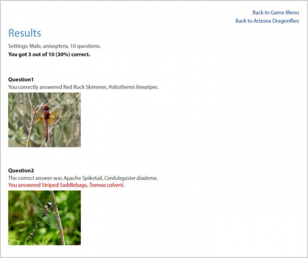 Odonata Quiz: Identify the Dragonfly! Screenshot of part of the results page.