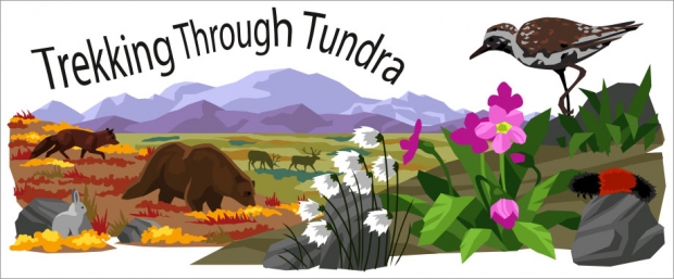 Story Header: Trekking Through Tundra