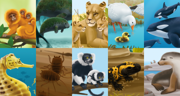 Some of the animals that appear in Moms, Dads, and Lily Pads. 