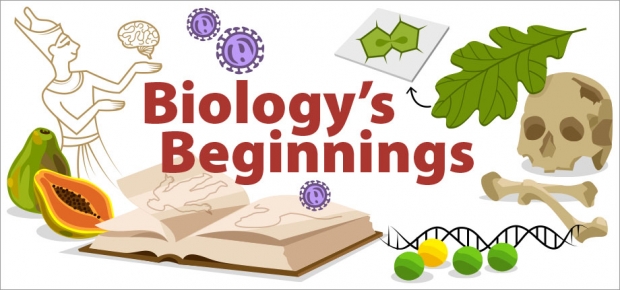 Story Header: Biology's Beginnings