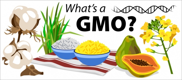 Story Header: What's a GMO?