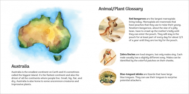 Joryn Looked Up: Plant/Animal glossary